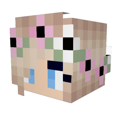 TimeRiverTam Minecraft avatar head, 3D render