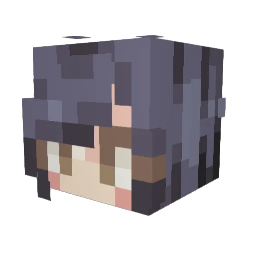 TimeSparks Minecraft avatar head, 3D render