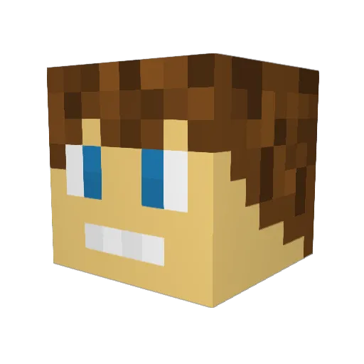 TimeT0Sleep Minecraft avatar head, 3D render