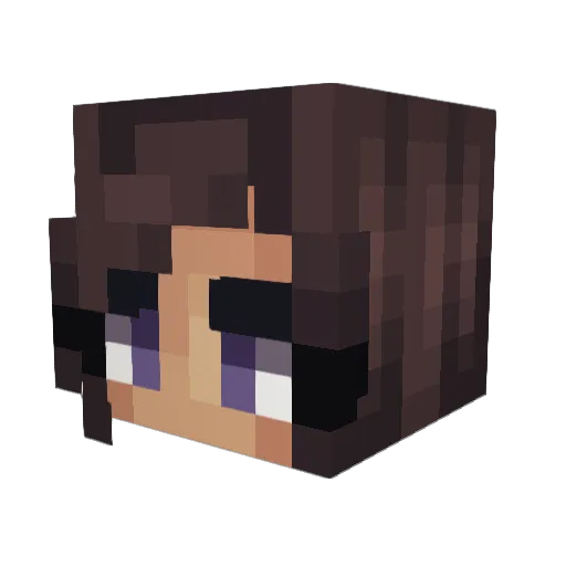 TimeToDo_2 Minecraft avatar head, 3D render