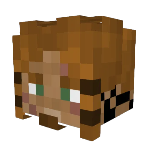 TimeTroll Minecraft avatar head, 3D render