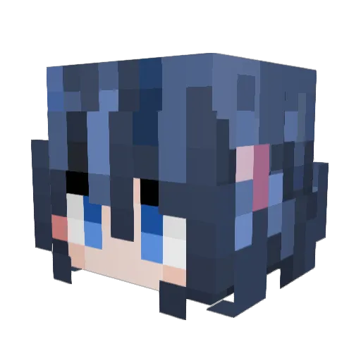 TimeZ250 Minecraft avatar head, 3D render