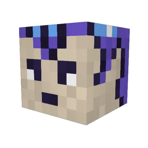 Time_Adept Minecraft avatar head, 3D render