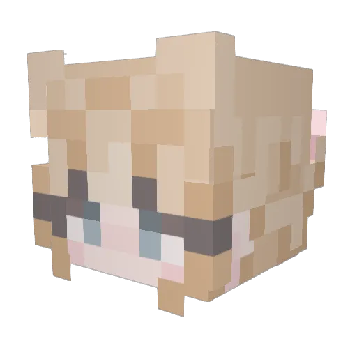 Time_Lady5 Minecraft avatar head, 3D render