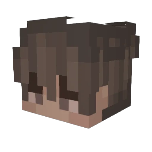 Timedeno Minecraft avatar head, 3D render
