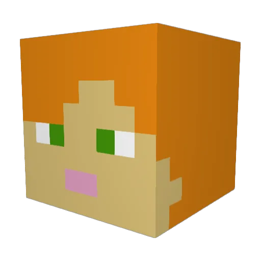 Timedim2 Minecraft avatar head, 3D render