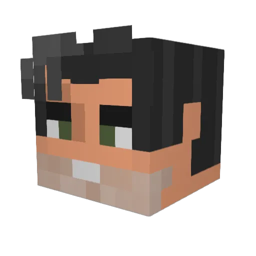 Timeking14 Minecraft avatar head, 3D render