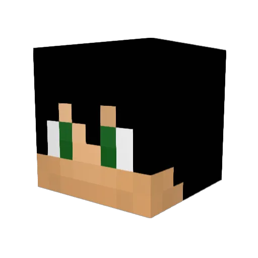 Timeless82 Minecraft avatar head, 3D render