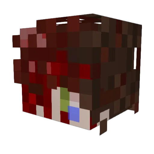 Timelord369 Minecraft avatar head, 3D render