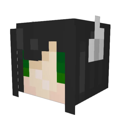 TimelordAradia1 Minecraft avatar head, 3D render