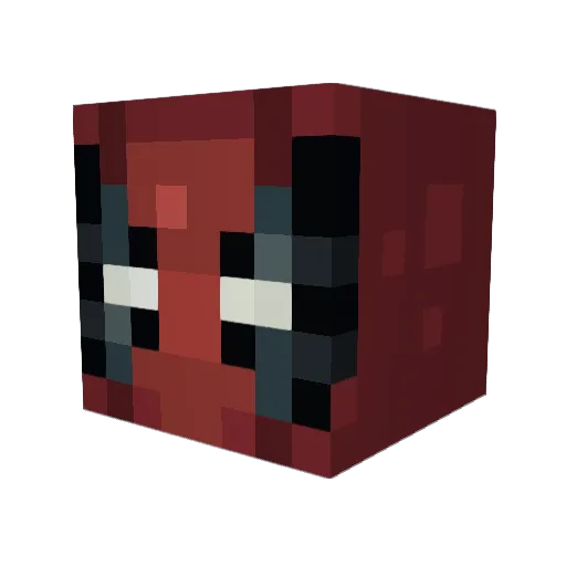 TimelordGamer10 Minecraft avatar head, 3D render