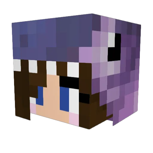 TimelordTJ Minecraft avatar head, 3D render