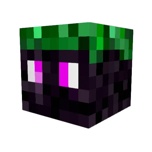 TimelyPython10 Minecraft avatar head, 3D render