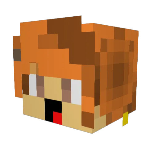 Timemachine3030 Minecraft avatar head, 3D render