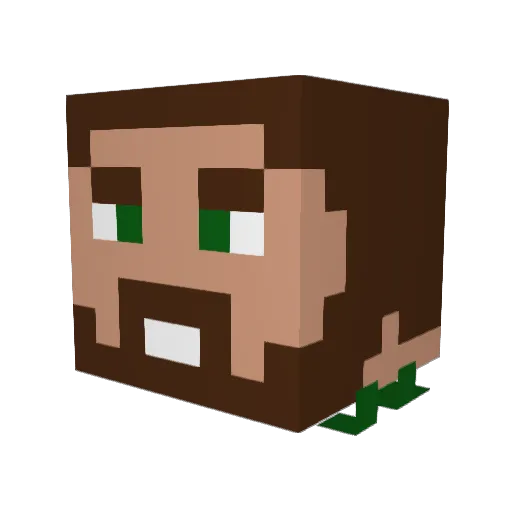 Timemell Minecraft avatar head, 3D render