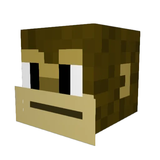 Timer12343 Minecraft avatar head, 3D render