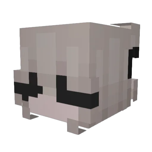 Timeraaa Minecraft avatar head, 3D render