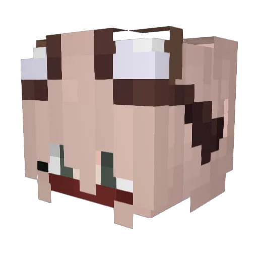 Times_lover Minecraft avatar head, 3D render