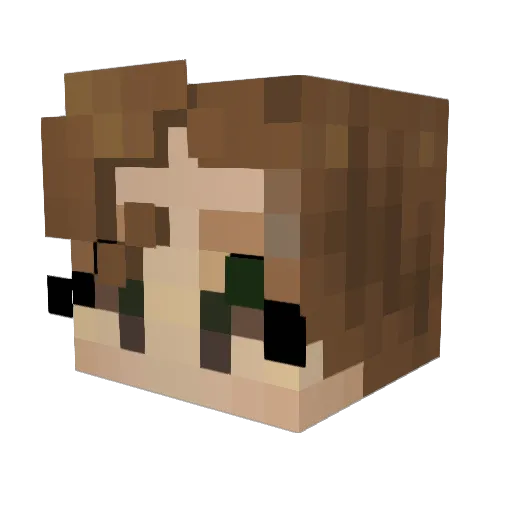 Timetomine2000 Minecraft avatar head, 3D render