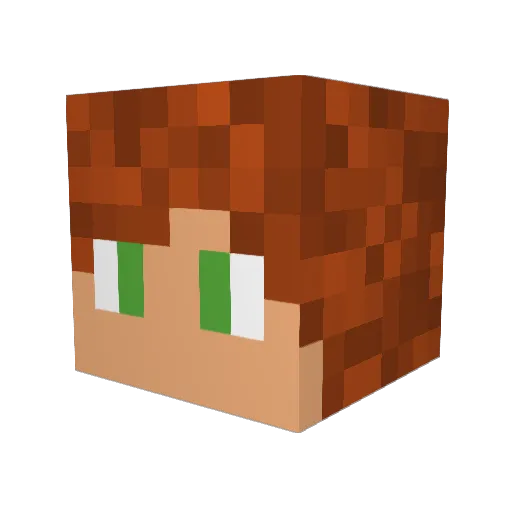 Timevo1d3 Minecraft avatar head, 3D render