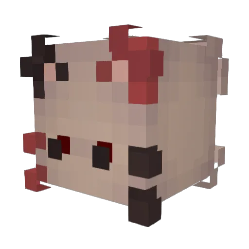 Timewolflp Minecraft avatar head, 3D render
