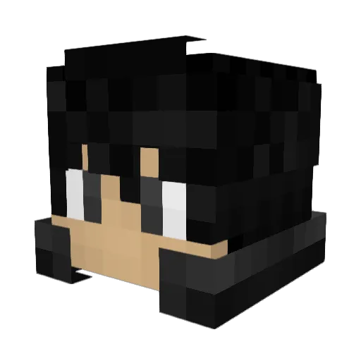 Timgod314 Minecraft avatar head, 3D render