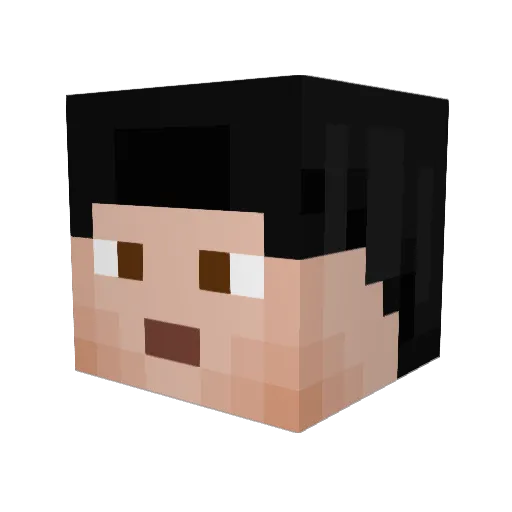 Timgurke2010 Minecraft avatar head, 3D render