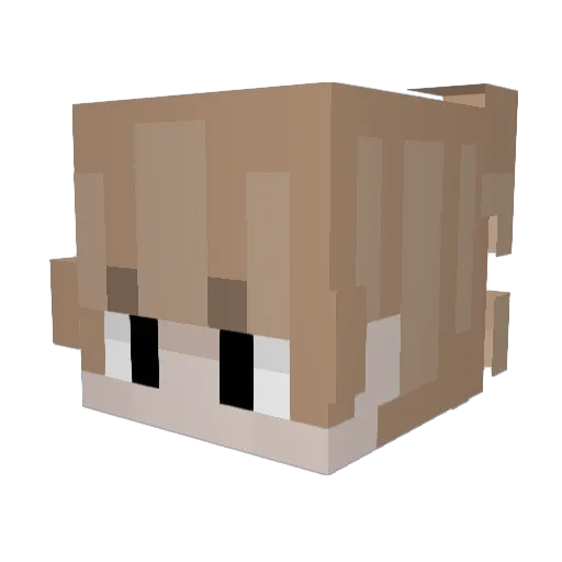TimiRimi15 Minecraft avatar head, 3D render