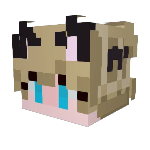 TimidFeline Minecraft avatar head, 3D render