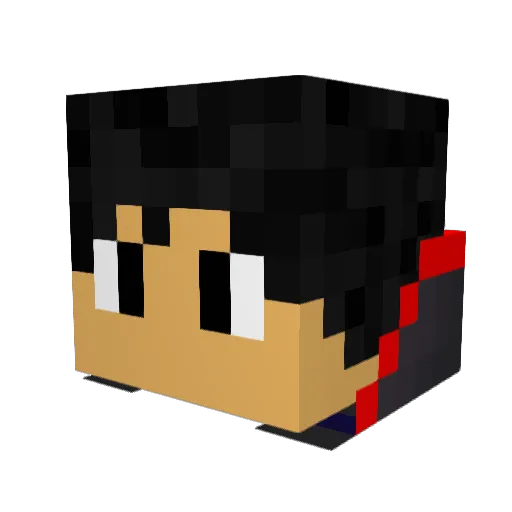 Timidg Minecraft avatar head, 3D render