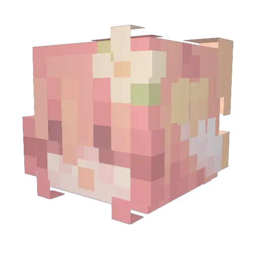 Timike19 Minecraft avatar head, 3D render