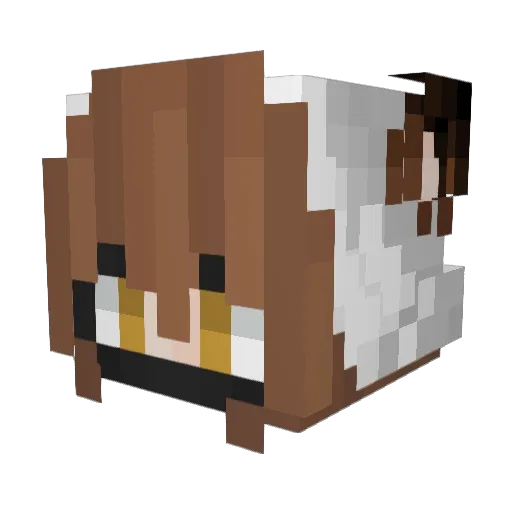 Timinihappy Minecraft avatar head, 3D render
