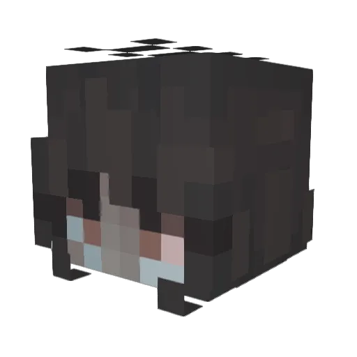 Timinka13 Minecraft avatar head, 3D render