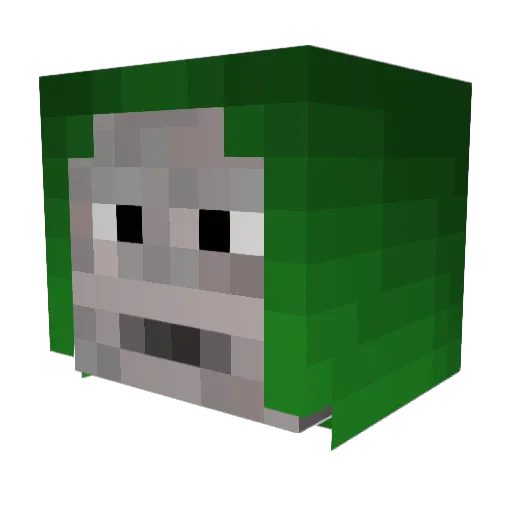 Timis101 Minecraft avatar head, 3D render
