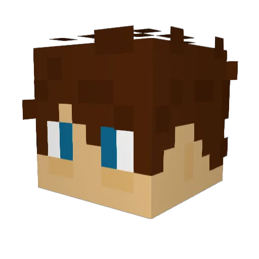 Timjaswan03 Minecraft avatar head, 3D render