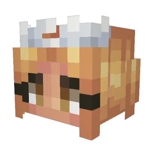 Timkento Minecraft avatar head, 3D render