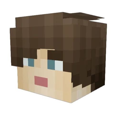 TimkerAn Minecraft avatar head, 3D render