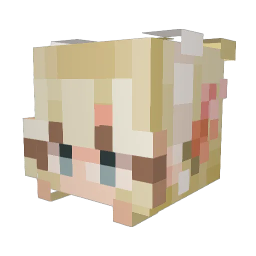 TimkerN Minecraft avatar head, 3D render