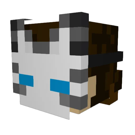 Timking2004 Minecraft avatar head, 3D render