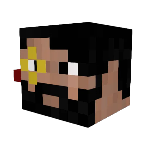 Timm09 Minecraft avatar head, 3D render