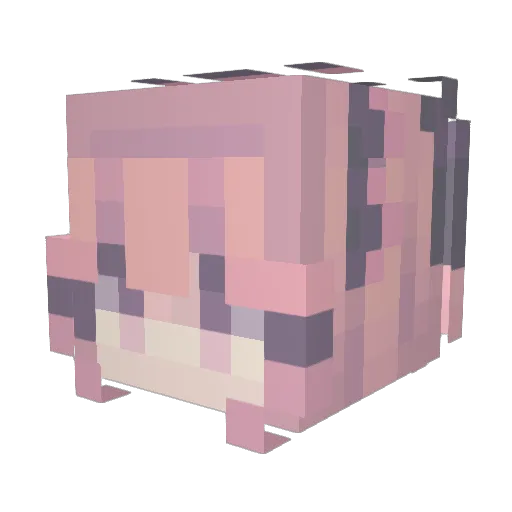 Timm_Cool Minecraft avatar head, 3D render