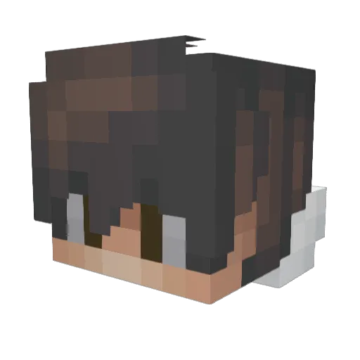 Timm_vD Minecraft avatar head, 3D render