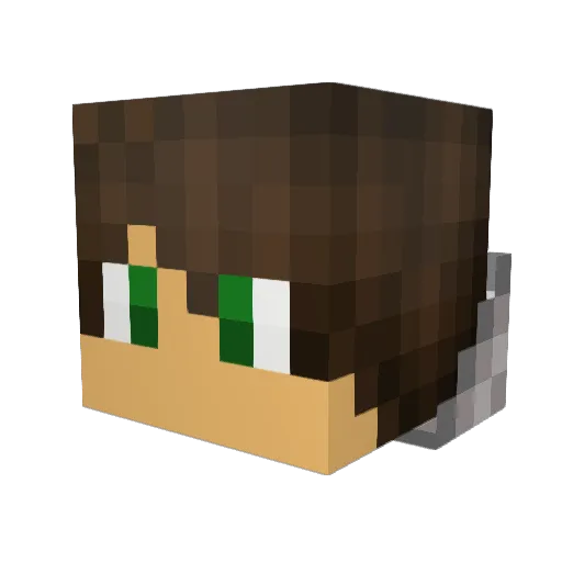 Timme_96 Minecraft avatar head, 3D render