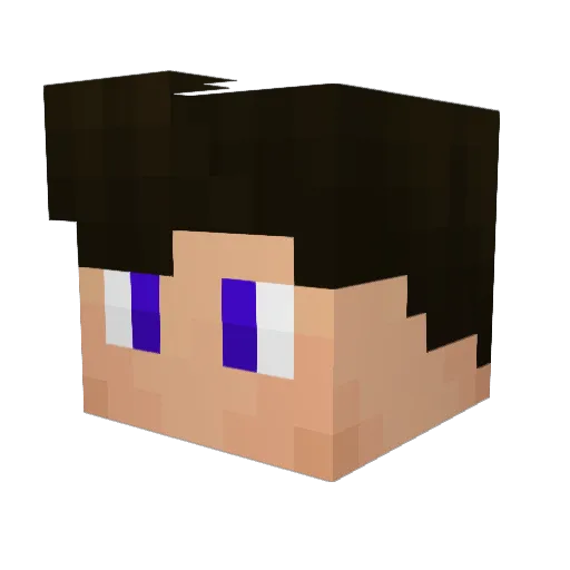 Timmmmmmmmm Minecraft avatar head, 3D render