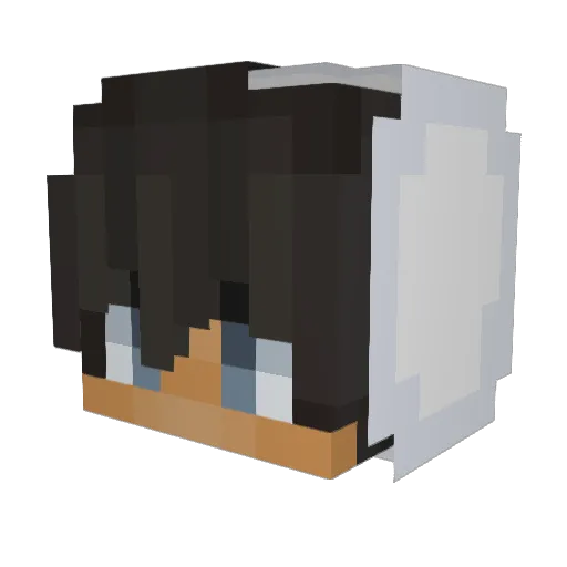 Timmonecke Minecraft avatar head, 3D render