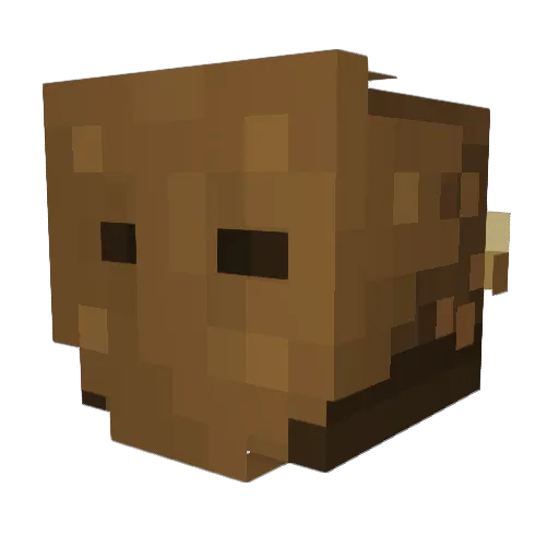 Timms_i Minecraft avatar head, 3D render