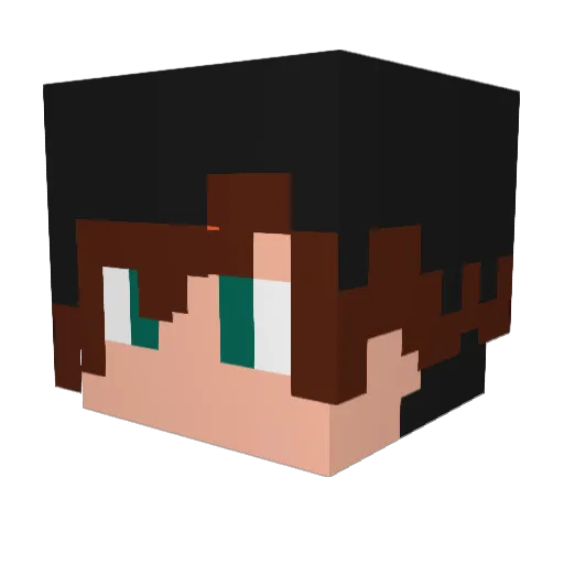 Timmy0x199 Minecraft avatar head, 3D render