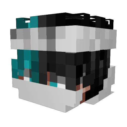 Timmy1020900 Minecraft avatar head, 3D render