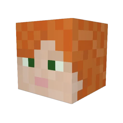 Timmy1192 Minecraft avatar head, 3D render