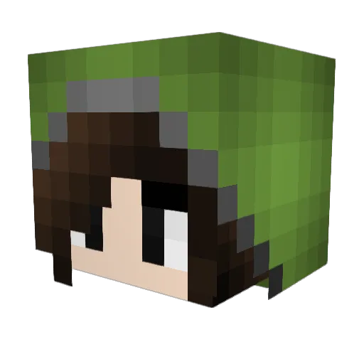 Timmy133 Minecraft avatar head, 3D render